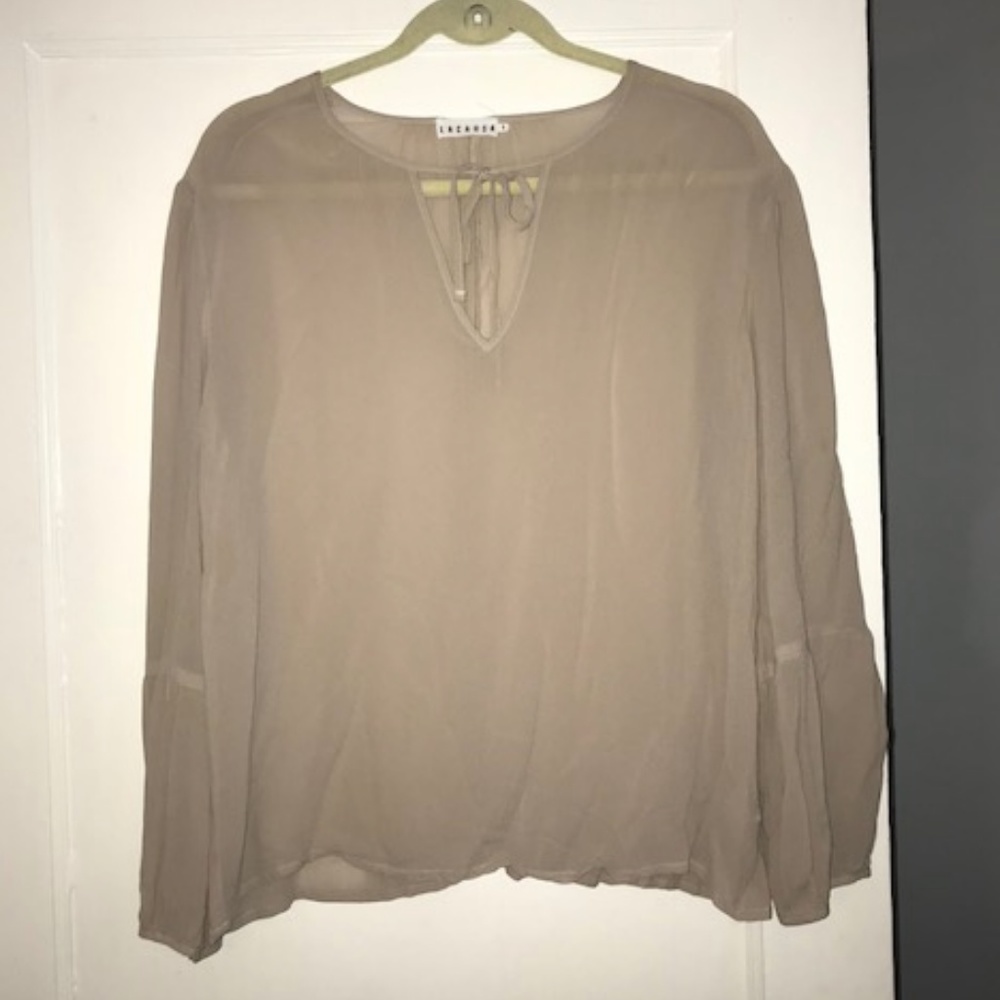 Taupe Lacausa Long-Sleeved Sheer Blouse